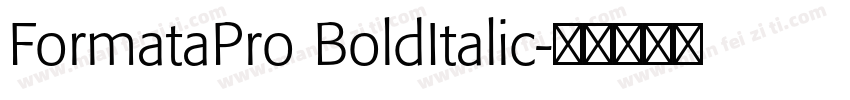 FormataPro BoldItalic字体转换